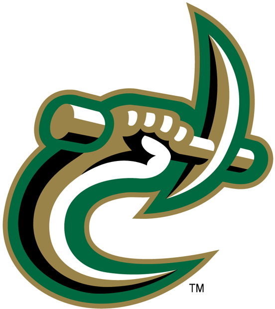 Charlotte 49ers 1998-Pres Secondary Logo Iron On Transfer